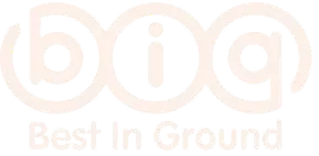 BIG Colour 1 Logo 1